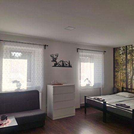 Agroturystyka Pod Niebieskim Dachem Siedlecin Bagian luar foto